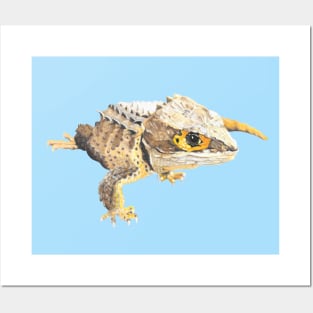 Red Eye Crocodile Skink Posters and Art